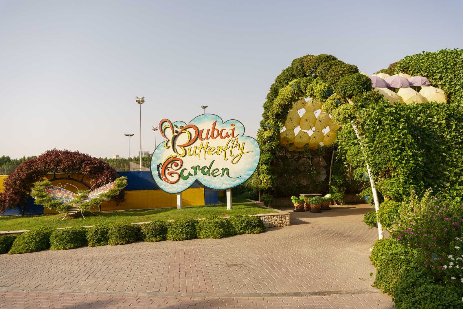 Dubai Butterfly Garden Tickets price and how to skip the lines?